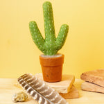 Fair Trade San Saguaro Cactus