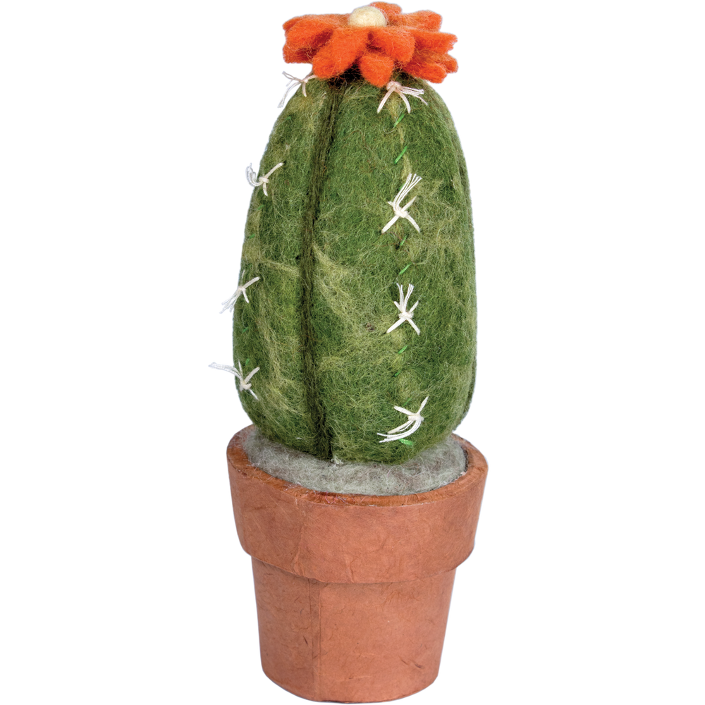 Fair Trade San Pedro Cactus