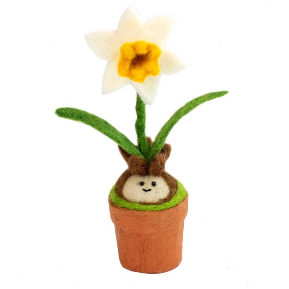 Fair Trade Happy Blossom Daffodil