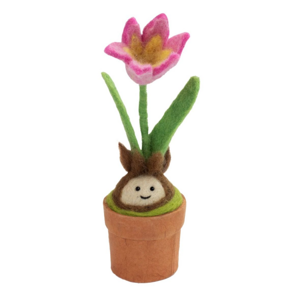 Fair Trade Happy Blossom Tulip
