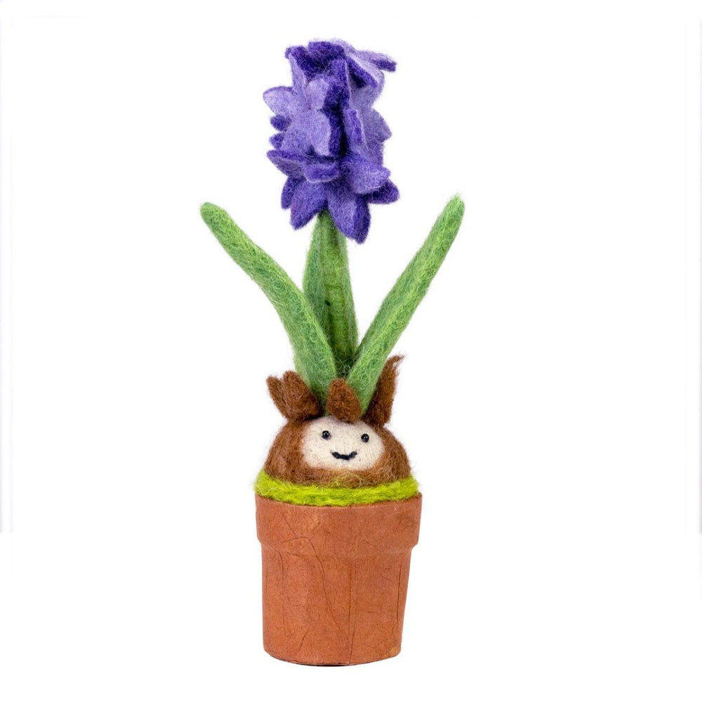 Fair Trade Hyacinth Daffodil